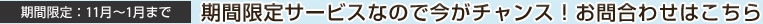 ���Ԍ���̃T�[�o�����e�i���X�������z�T�[�r�X