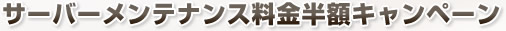 �T�[�o�����e�i���X�������z�L�����y�[��