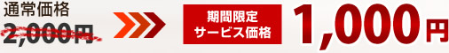 �ʏ�2000�~�����ʉ��i1000�~